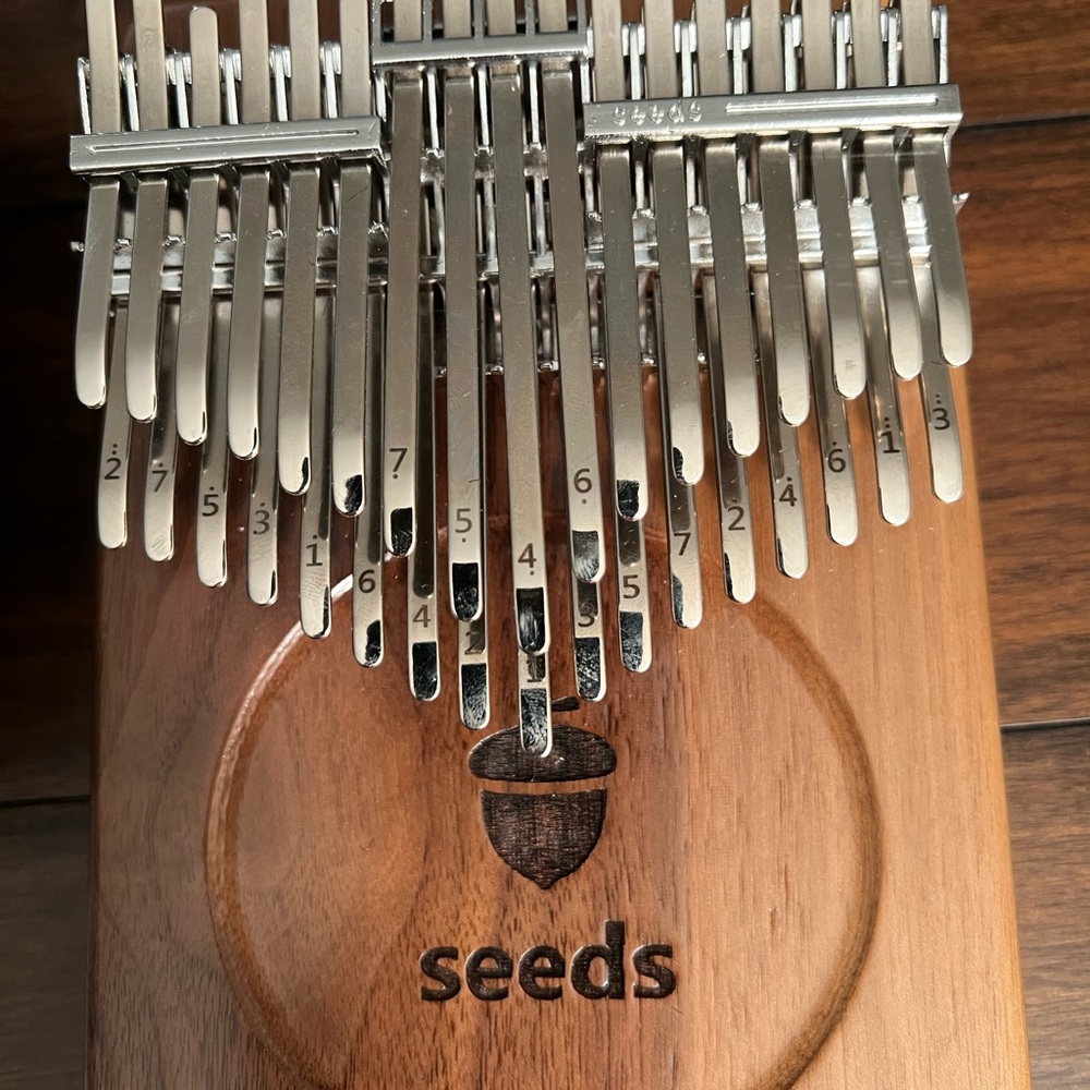 Seeds 42 key Thumb Piano